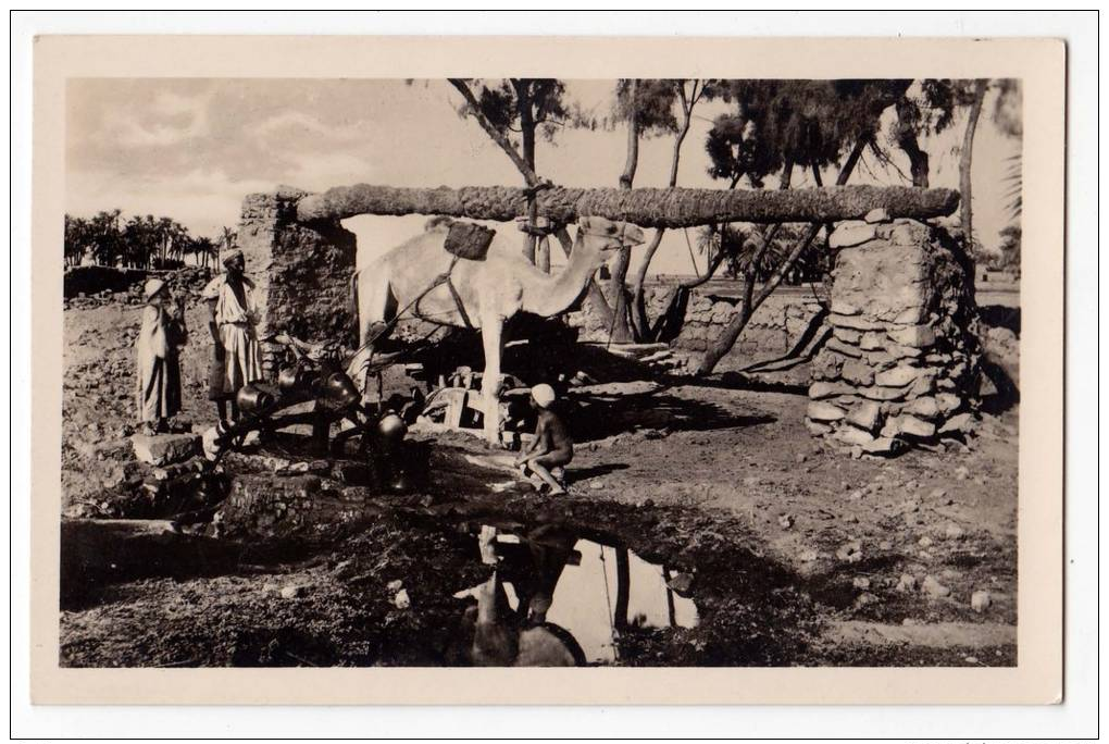 AFRICA EGYPT SAKIEH WATER WELL Nr. 61 OLD POSTCARD - Other & Unclassified