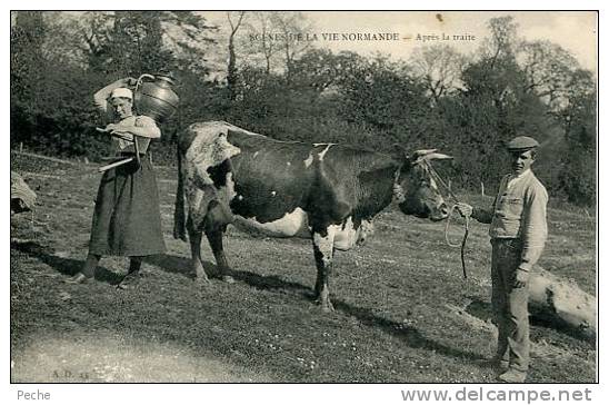 N° 28038 -cpa Scènes De La Vie Normande -après La Taite- - Elevage