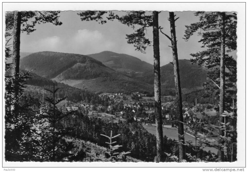 Bad Herrenalb - Blick Von Der Rotensoler Strasse - Bad Herrenalb