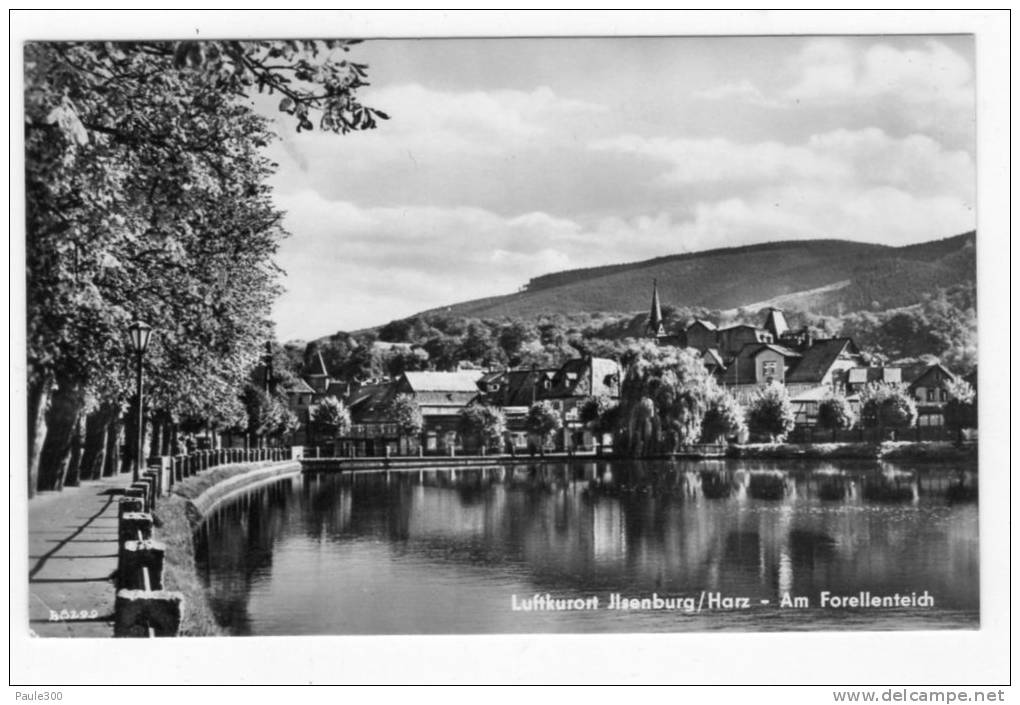 Ilsenburg - Partie Am Forellenteich - Ilsenburg