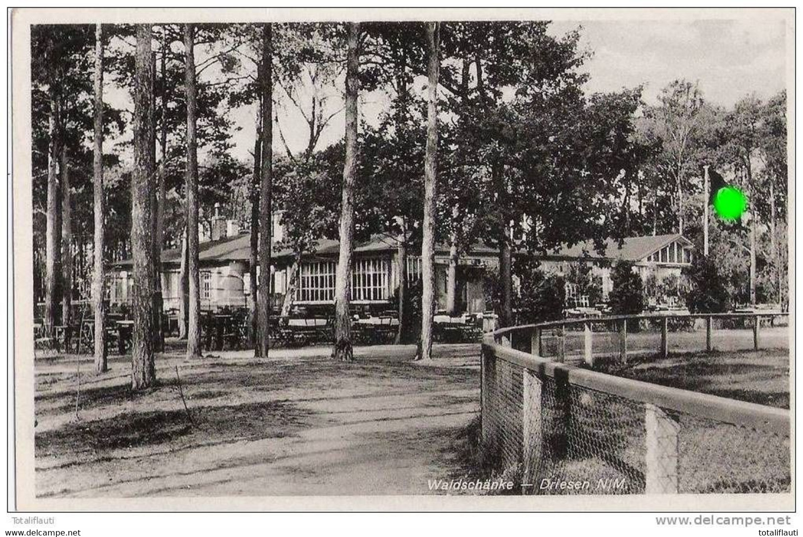 Driesen Neumark Waldschänke Flagge Der Zeit 27.8.1937 Gelaufen Drezdenko - Neumark