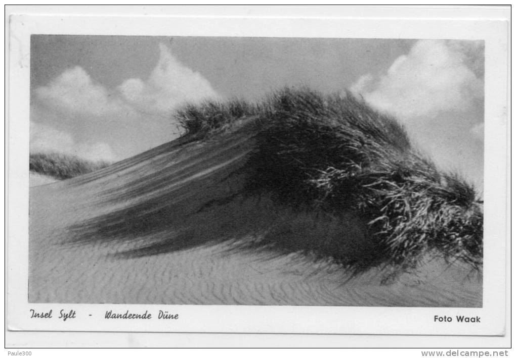 Insel Sylt - Wandernde Düne - Sylt