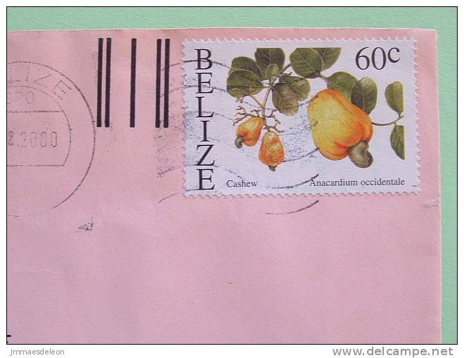 Belize 2000 Cover To USA - Fruit Cashew - Belize (1973-...)
