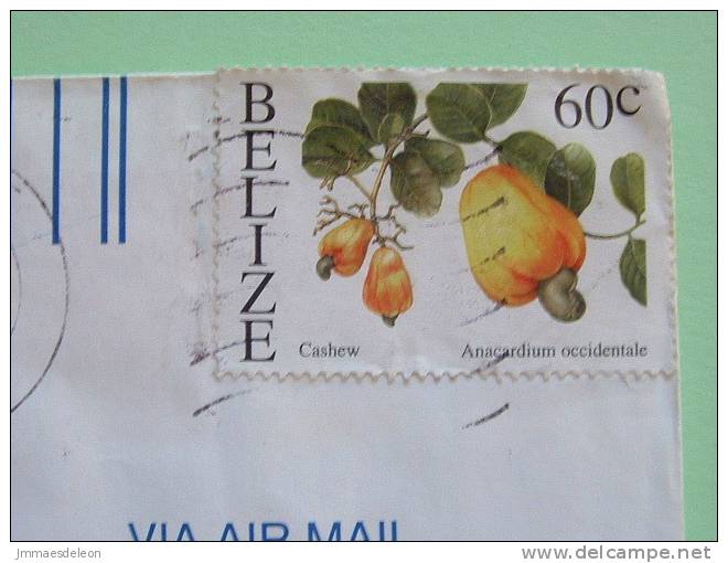 Belize 2000 Cover To USA - Fruit Cashew - Belize (1973-...)