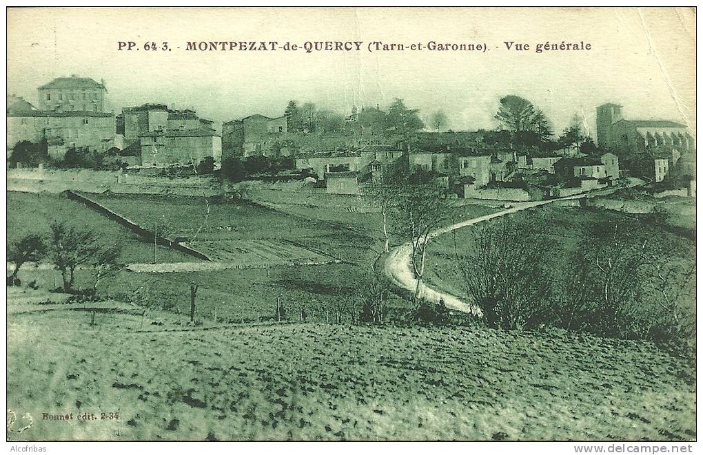 82 CPA Montpezat De Quercy Vue Generale Sur Village - Montpezat De Quercy