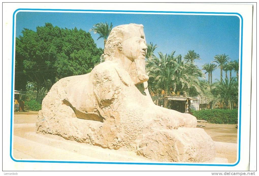 Egypt, Giza, The Sphinx Of Sakkara, Unused Postcard [13334] - Gizeh