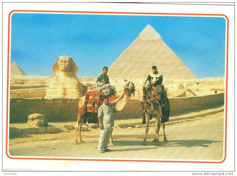 Egypt, Giza, Camel Driver Near The Sphinx And Khafre Pyramid, Unused Postcard [13337] - Gizeh