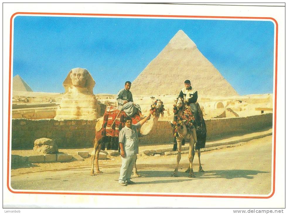 Egypt, Giza, Camel Driver Near The Sphinx And Khafre Pyramid, Unused Postcard [13337] - Guiza