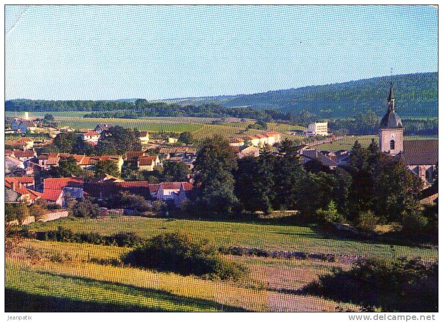 DOULAINCOURT - Vue Générale - Doulaincourt