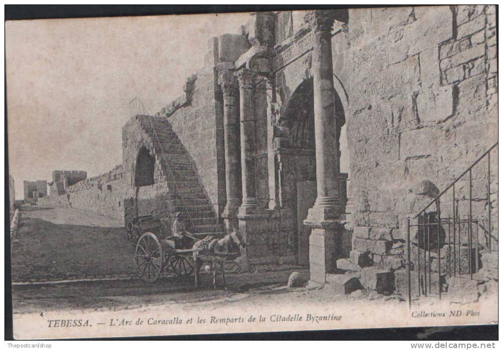 AFRIQUE - ALGERIE - TEBESSA - L'Arc De Caracalla Et Les Remparts De La Citadelle Bysantine - Tebessa