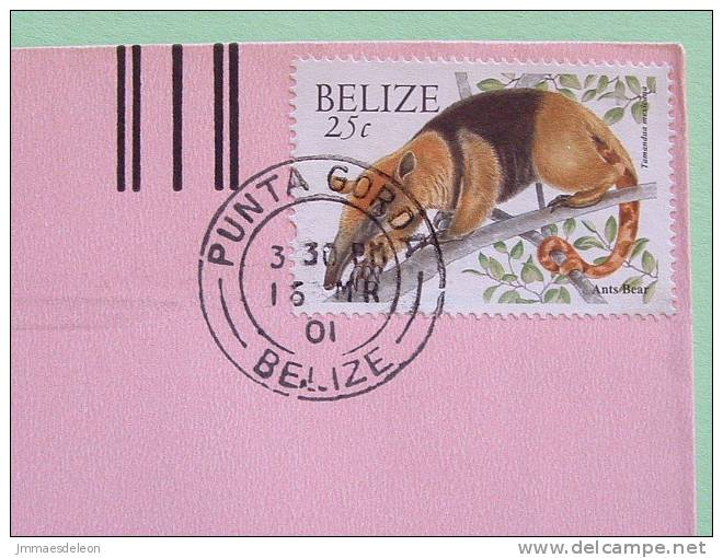 Belize 2000 Cover To USA - Animals Ant Bear Or Ant Eater - Belize (1973-...)