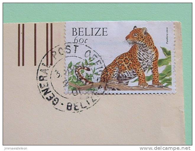 Belize 2001 Cover To USA - Animals Jaguar (stamp Cutted On Top Edge) - Belize (1973-...)