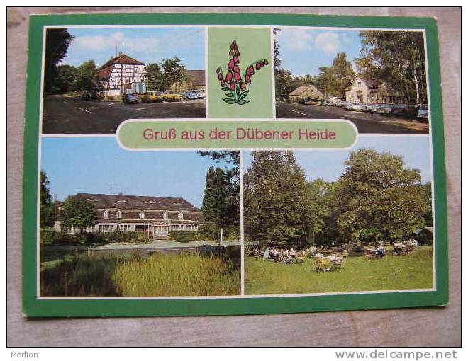 Dübener Heide      D90171 - Bad Dueben
