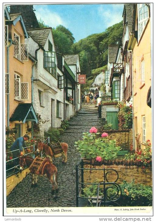 UK, Up-A-Long, Clovelly, North Devon, 1977 Used Postcard [13348] - Clovelly