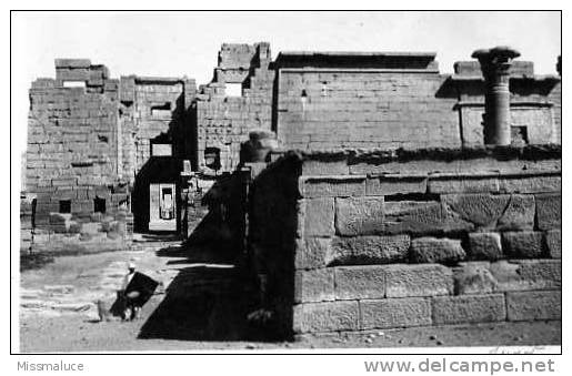 EGYPTE LUXOR LOUXOR CARTE PHOTO - Louxor