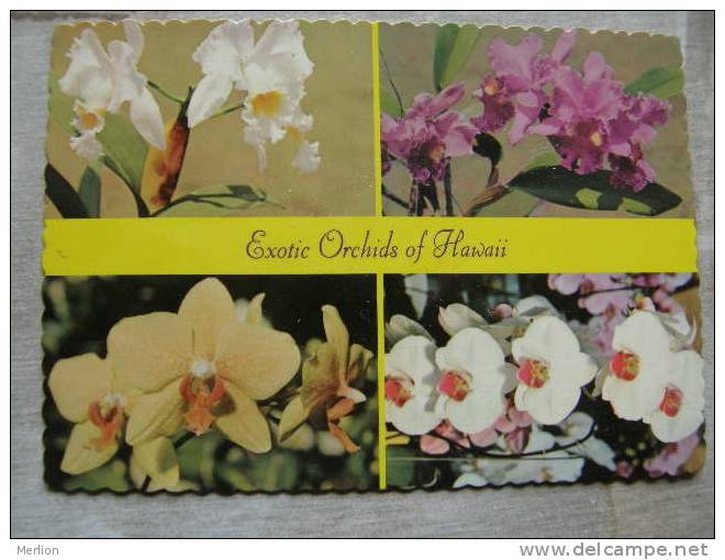 US HAWAII - Exotic Orchids    D90333 - Autres & Non Classés