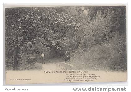 CPA PAYSAGES DE MONTFAUCON - SOUS BOIS - Montfaucon En Velay