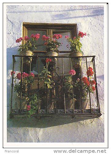 Espagne. Rincones Españoles. Detalle. Balcon Fleuri. - Autres & Non Classés