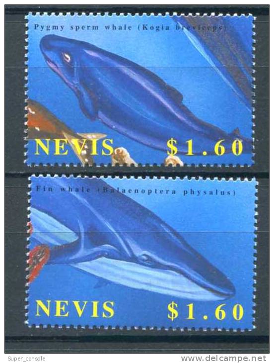 NEVIS   2002   Yvert 1590/1591   Michel 1785 - 1787   Baleine   Whale - Whales