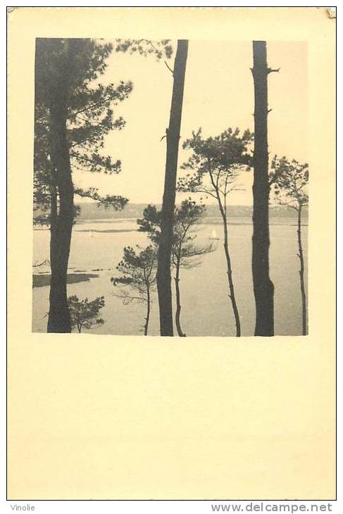 Réf : GF-13- 042  : Photo. Format 11.5 X 17  Baie De Paimpol 1937 - Lieux