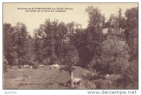 Les Bords De La Coise Sur Larajasse - Saint-Symphorien-sur-Coise