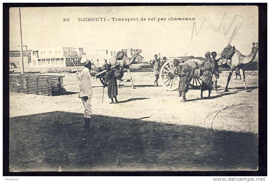 DJIBOUTI    Transport  De Sel Par Chameaux - Djibouti