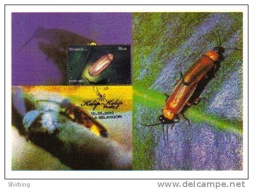 13a: Malaysia Firefly Insect No2 Maximum Card Maxicard MC - Autres & Non Classés