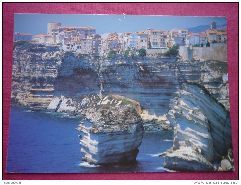 Lot De 25 Cartes De Corse Toutes Differentes ( Toutes Visible ) - 5 - 99 Cartoline