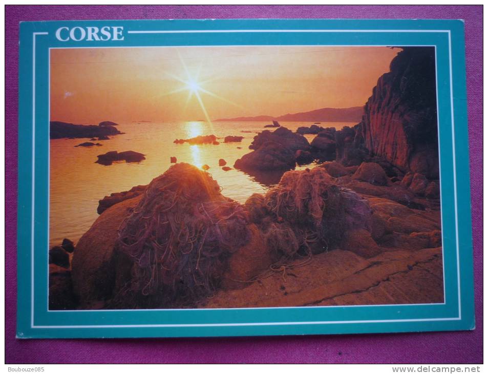 Lot De 25 Cartes De Corse Toutes Differentes ( Toutes Visible ) - 5 - 99 Karten