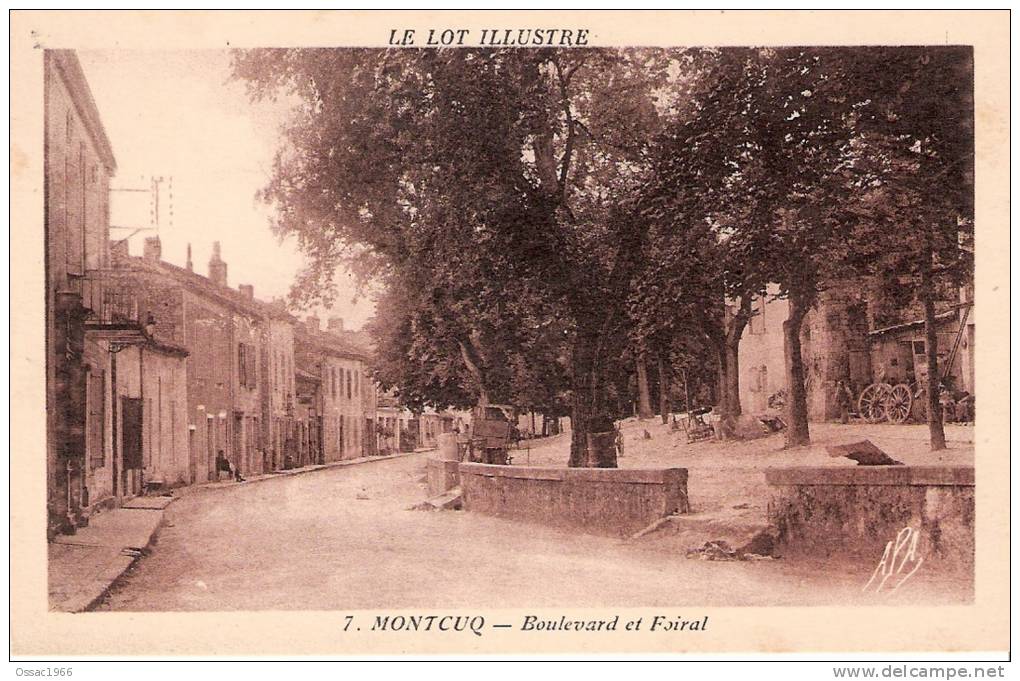 46 MONTCUQ Boulevard Et Foiral - Montcuq