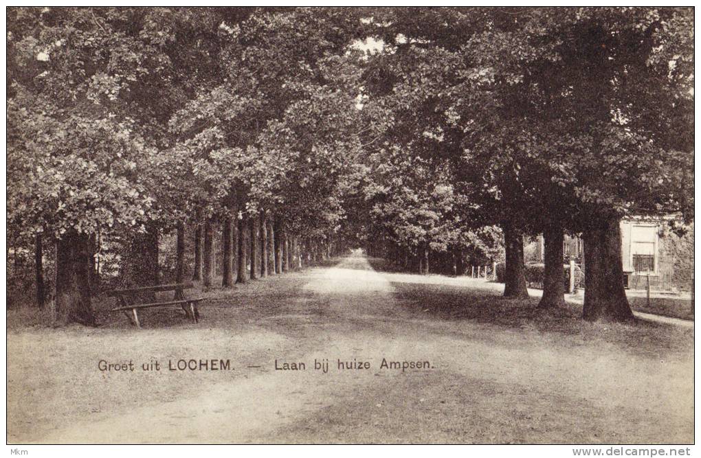Laan Bij Huize Ampsen - Lochem
