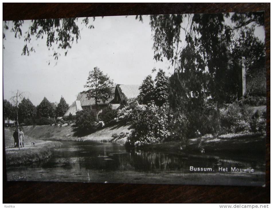 BUSSUM - Verzonden In 1951 - Het Mouwtje  - Lot VO 10 - Bussum