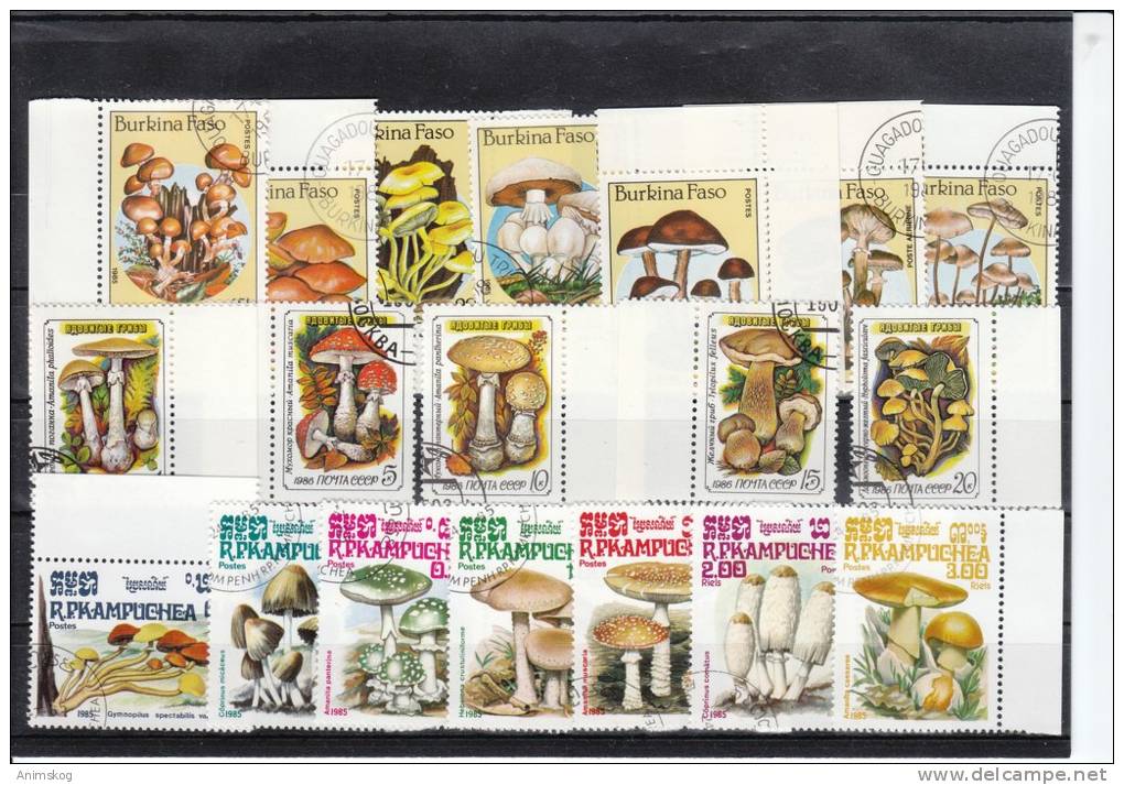 3 Sätze Pilze, Burkina Faso/UdSSR/Kampuchea / 3 Sets Mushrooms Burkina Faso/USSR/Kampuchea - Pilze