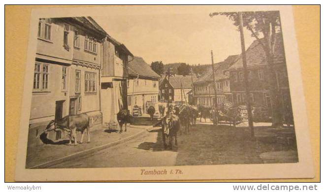 AK Tambach (Dietharz) Straßenansicht  Thüringen Vom 23.7.1921 - Tambach-Dietharz