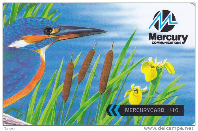 Mercury, MER436A, Kingfisher (For Better Communications), Bird, 2 Scans.   37MERE - [ 4] Mercury Communications & Paytelco