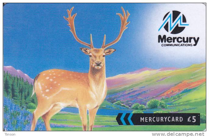 Mercury, MER568A, Fallow Deer (The Fairer Way To Call), 2 Scans.   44MERB - [ 4] Mercury Communications & Paytelco