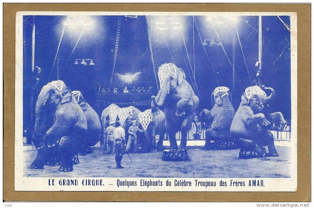 LE  GRAND  CIRQUE   QUELQUES  ELEPHANTS DU  CELEBRE TROUPEAU DES  FRERES   AMAR - Circus