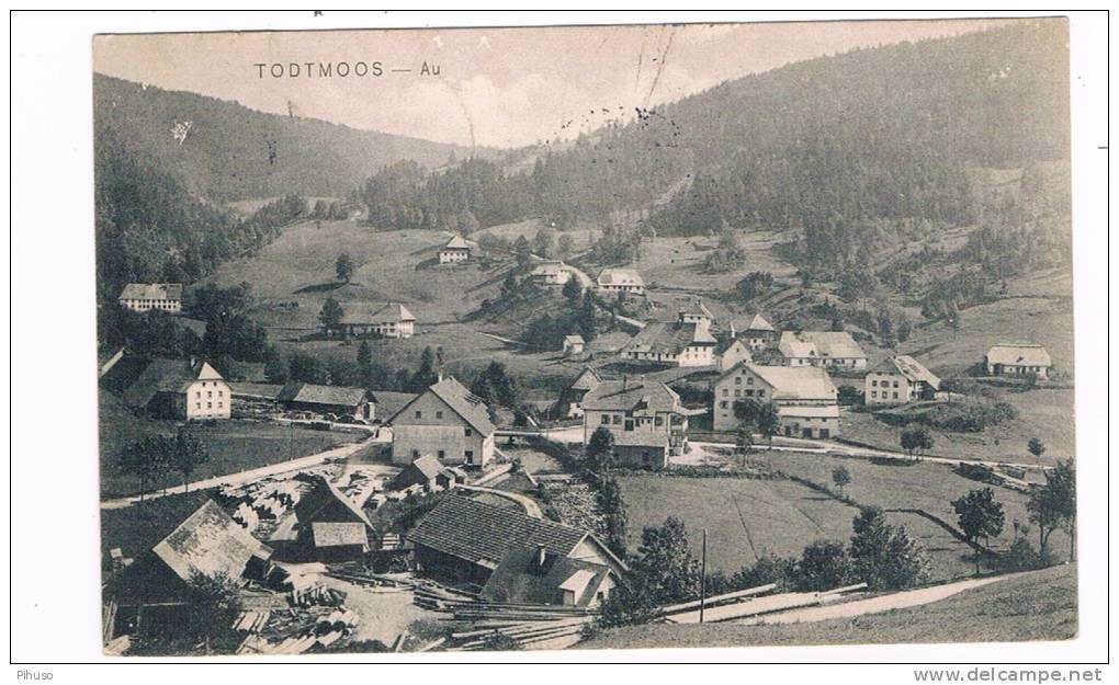 D3489   TODTMOOS : - Waldshut-Tiengen