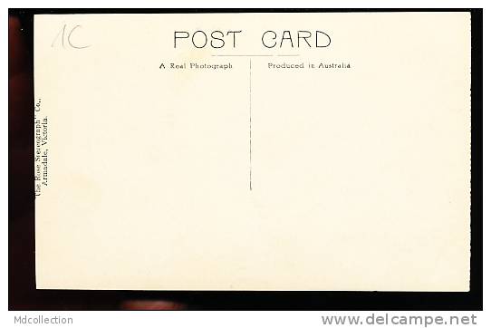 AUSTRALIE SYDNEY / Farm Cove And Botanical Gardens / CARTE PHOTO - Sydney