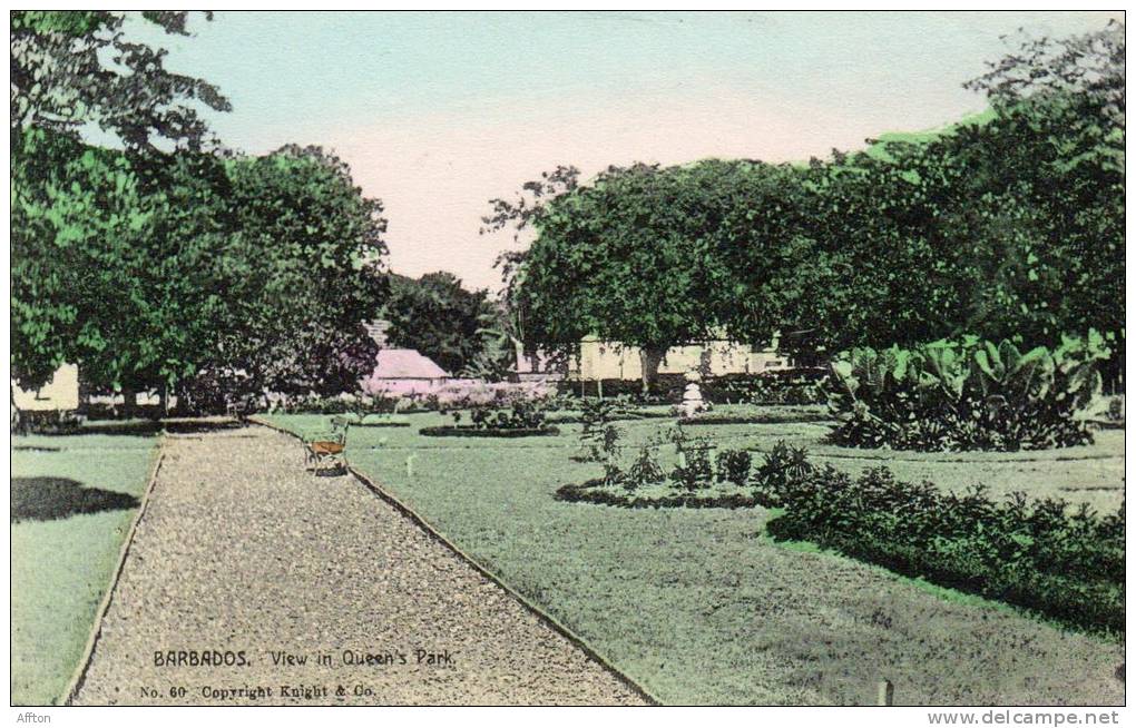 View In Queens Park Barbados 1905 Postcard - Barbades