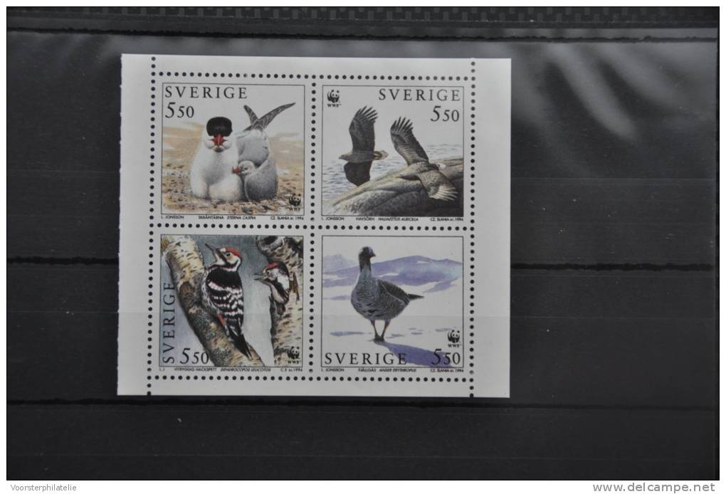 I 49 ++ WWF SWEDEN VOGELS BIRDS OISEAUX - Nuevos