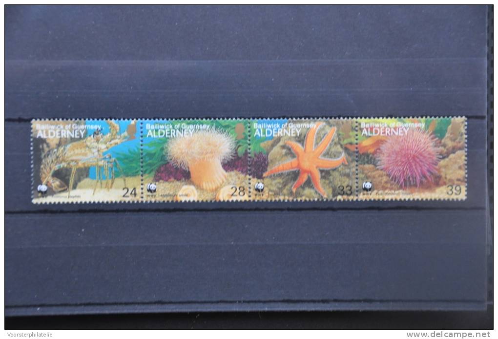 I 36 ++ WWF ALDERNEY MARINE LIFE SEA STAR LOBSTER - Alderney