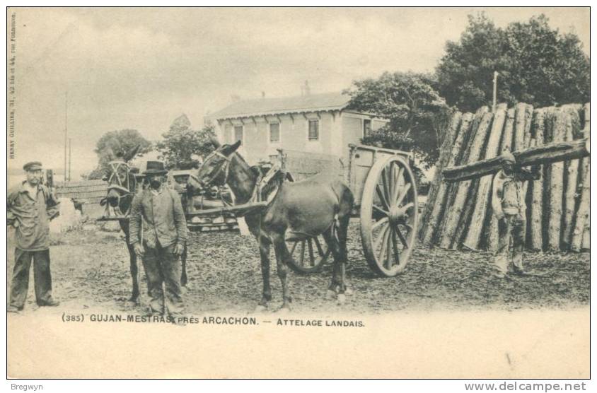 33 - CPA Gujan-Mestras - Attelage Landais - Gujan-Mestras