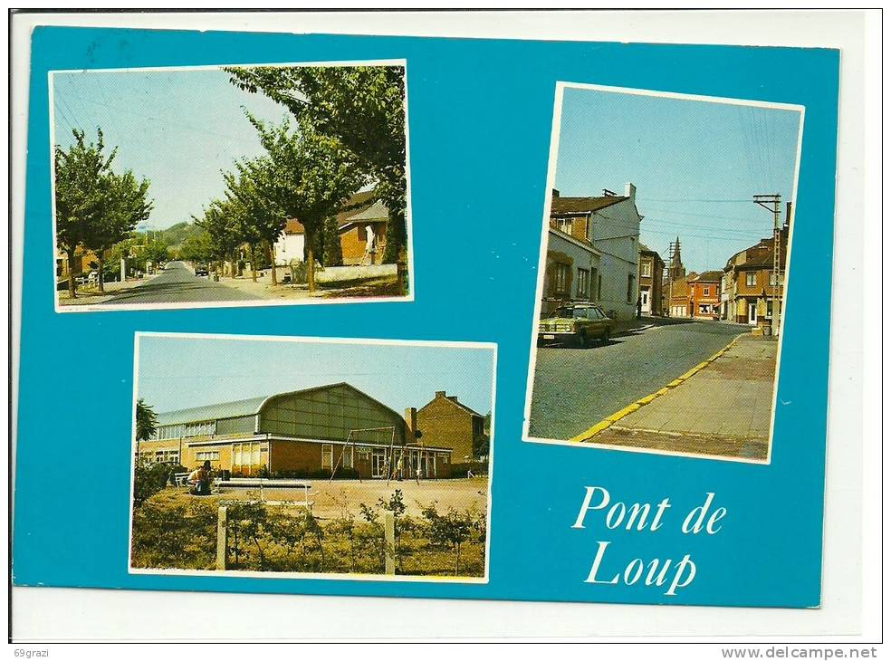 Pont De Loup ( Farciennes ) Multi Vues - Farciennes