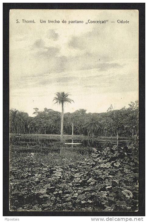 SAO TOME AND PRINCIPE (Africa) - Um Trecho Do Pantano "Conceição" - Cidade - Santo Tomé Y Príncipe