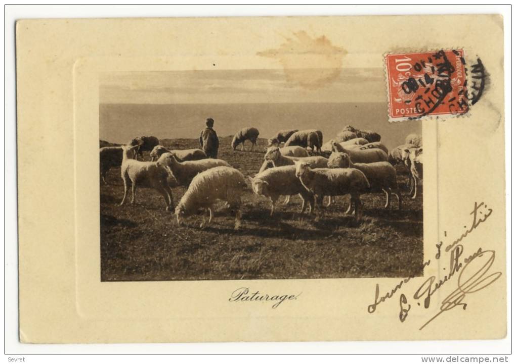 PATURAGE  - - Viehzucht