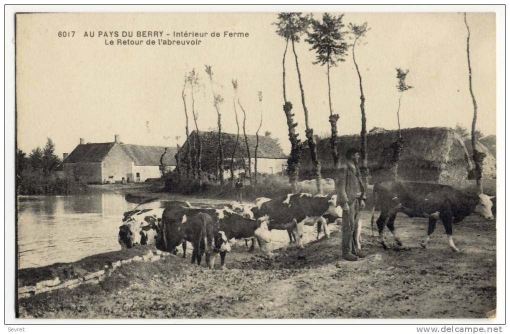 AU PAYS DU BERRY - Intérieur De Ferme -Le Retour De L'Abreuvoir. - Fermes