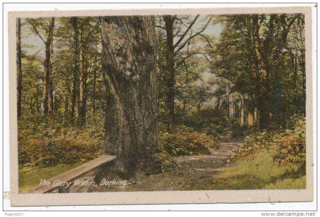 The Glory Woods, Dorking, 1944 Postcard - Surrey