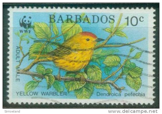 Barbados  1991  WWF - Goldwaldsänger  (1 Gest. (used))  Mi: 770 (0,80 EUR) - Barbades (1966-...)