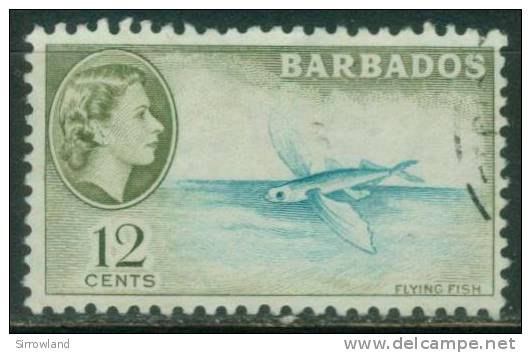 Barbados  1953  Freimarke - Fliegender Fisch  (1 Gest. (used))  Mi: 210 (0,20 EUR) - Barbados (1966-...)